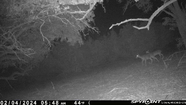 180 Robison Rd, Bertram, TX 78605