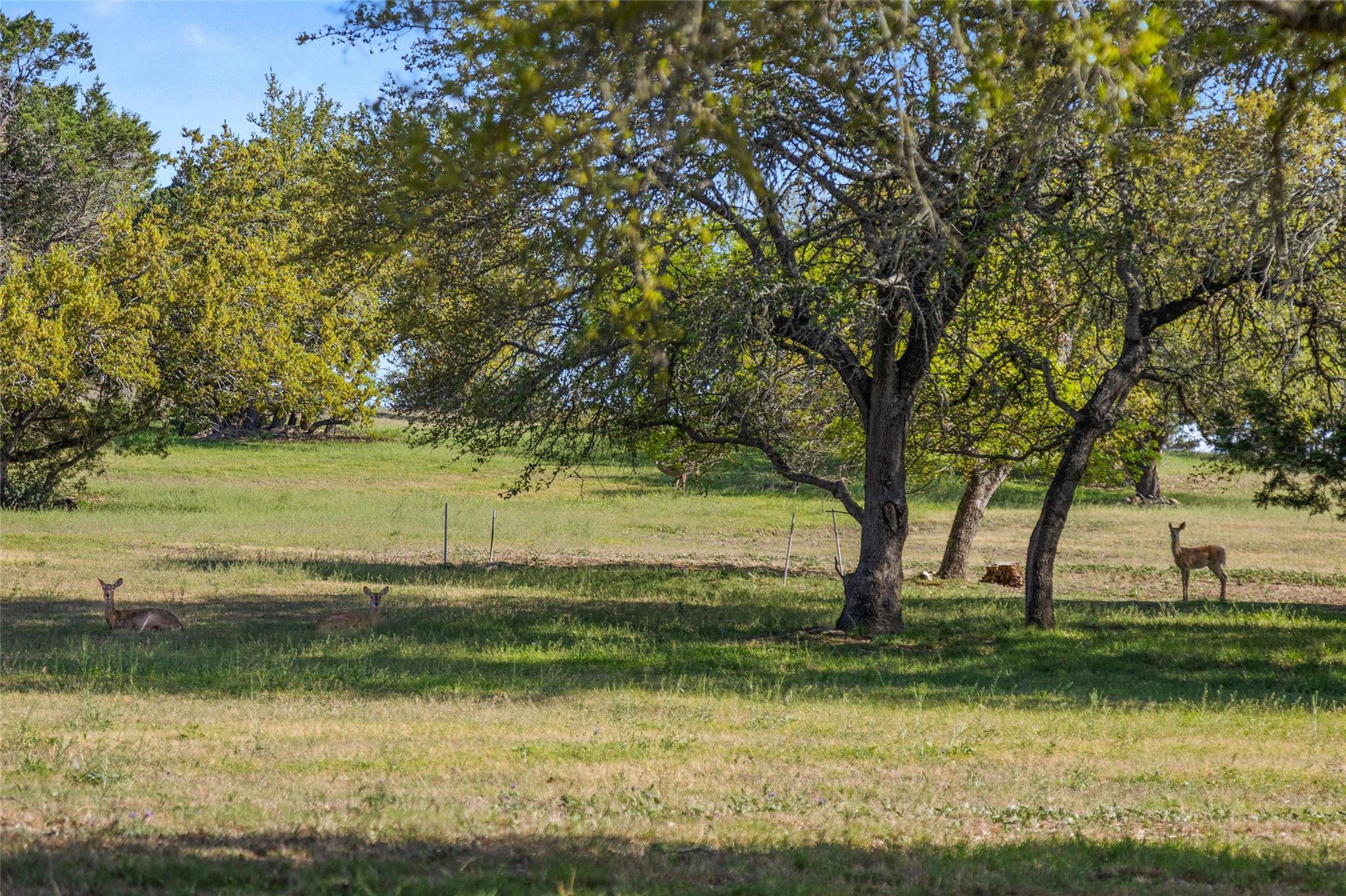 170 Brighton Ln, Austin, TX 78737