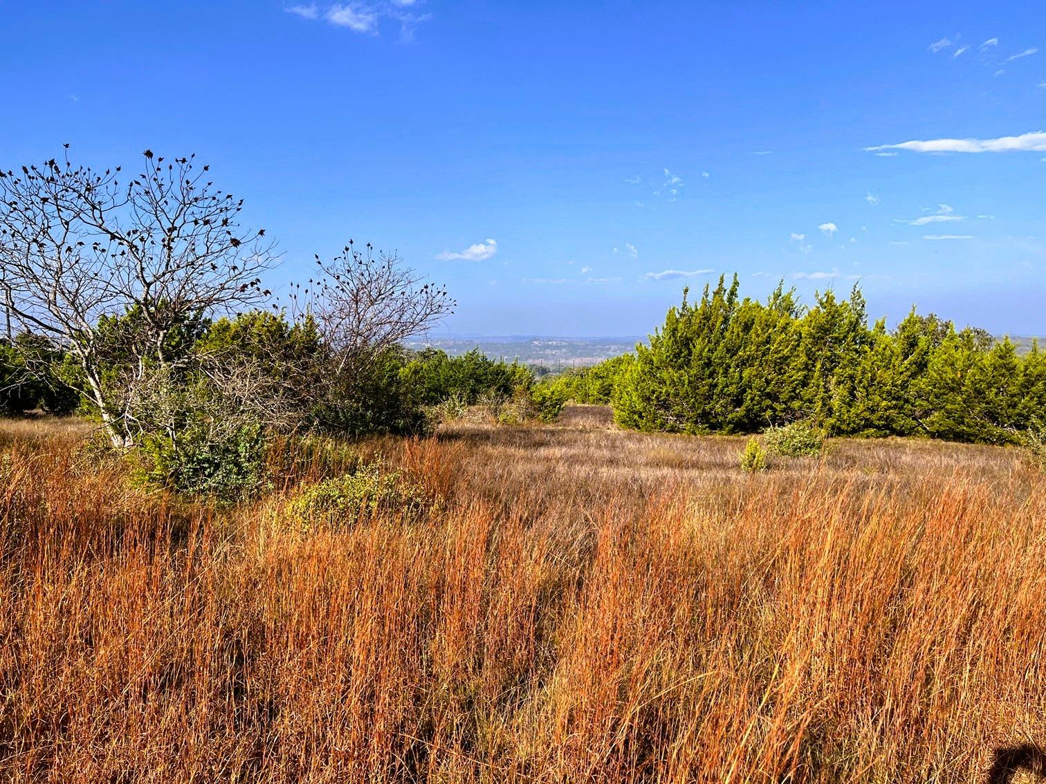 Lot 7 W Flying Owl Dr, Johnson City, TX 78636