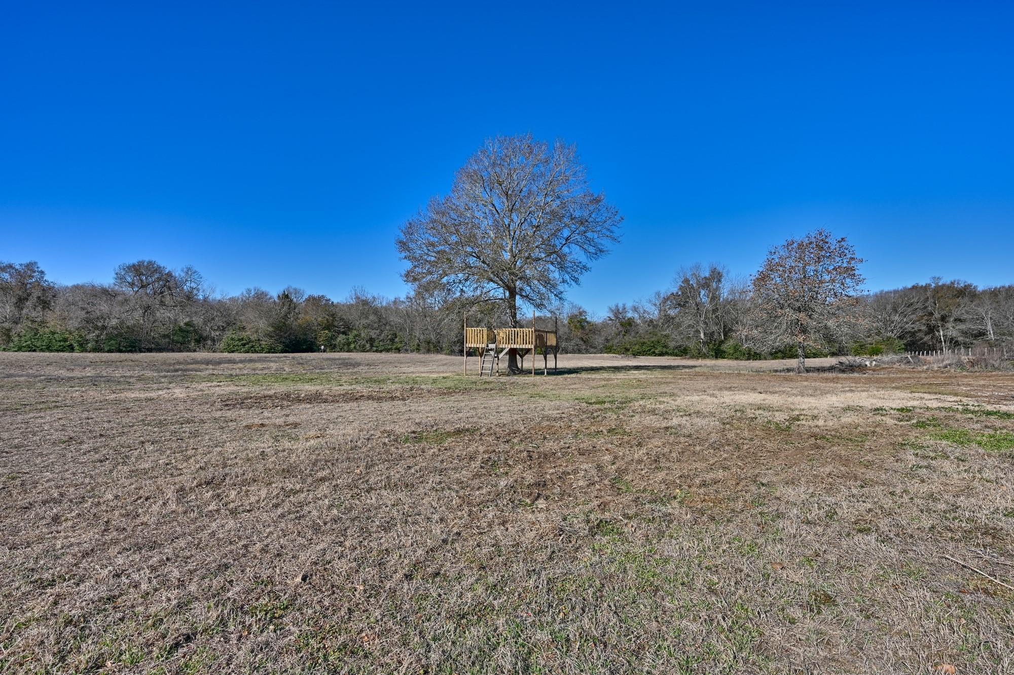 6881 Fm 2000, Caldwell, TX 77836