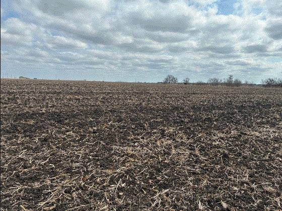 TBD FM 3061, Thorndale, TX 76577