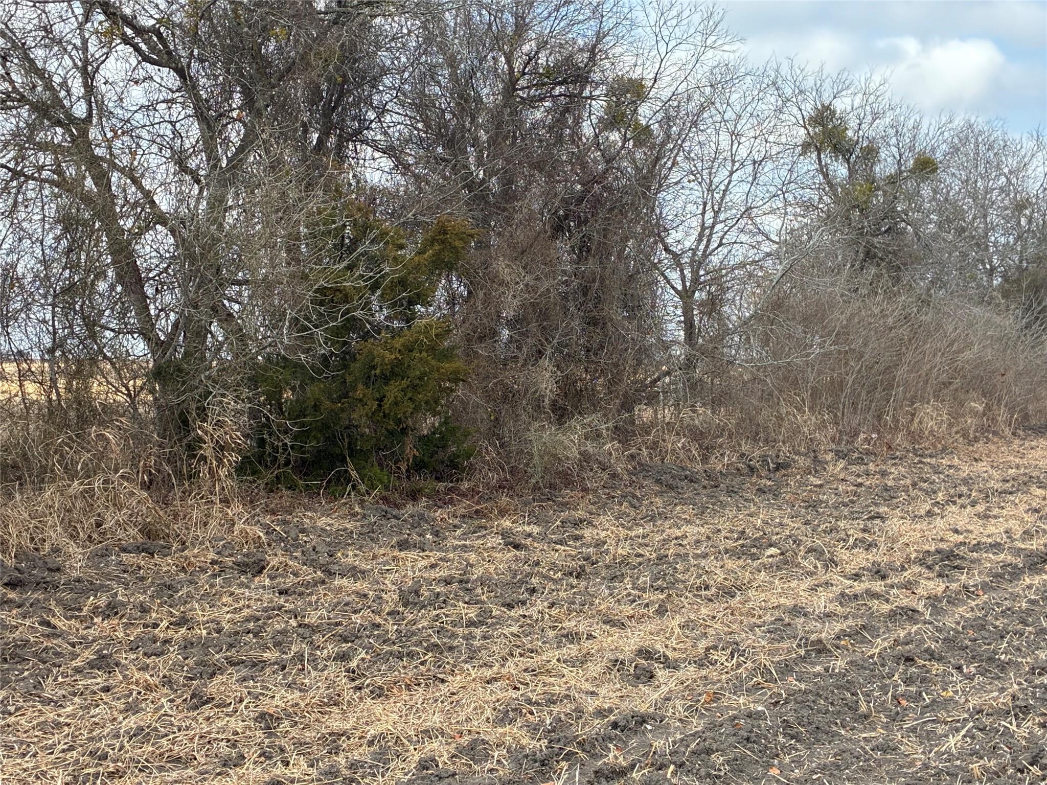 TBD FM 3061, Thorndale, TX 76577