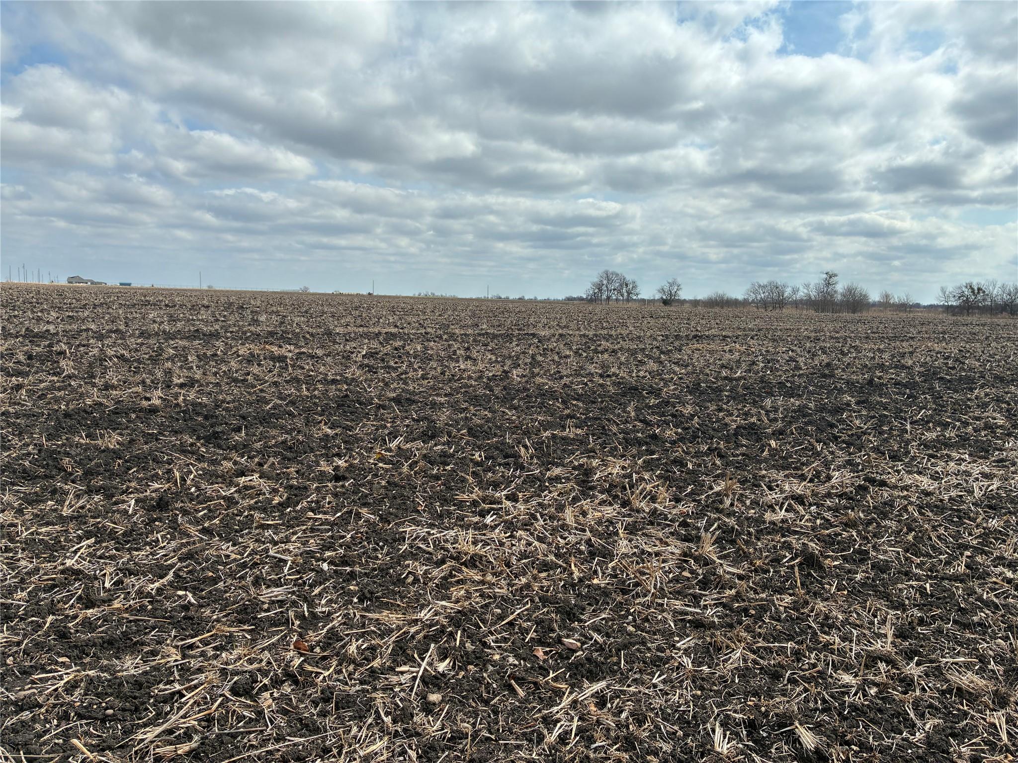 TBD FM 3061, Thorndale, TX 76577