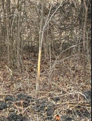 TBD FM 3061, Thorndale, TX 76577