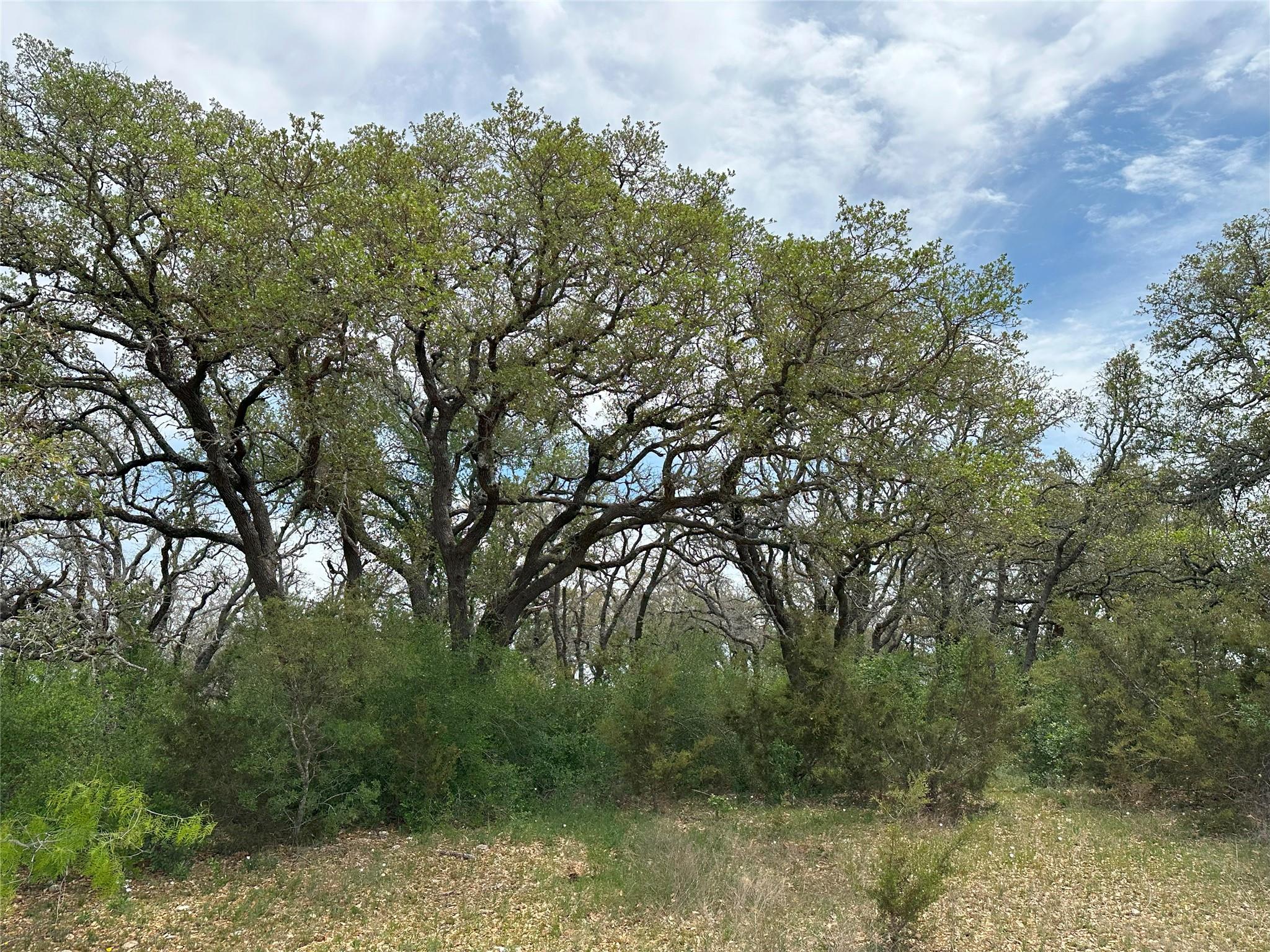 unk 114ac CR 330, Bertram, TX 78605