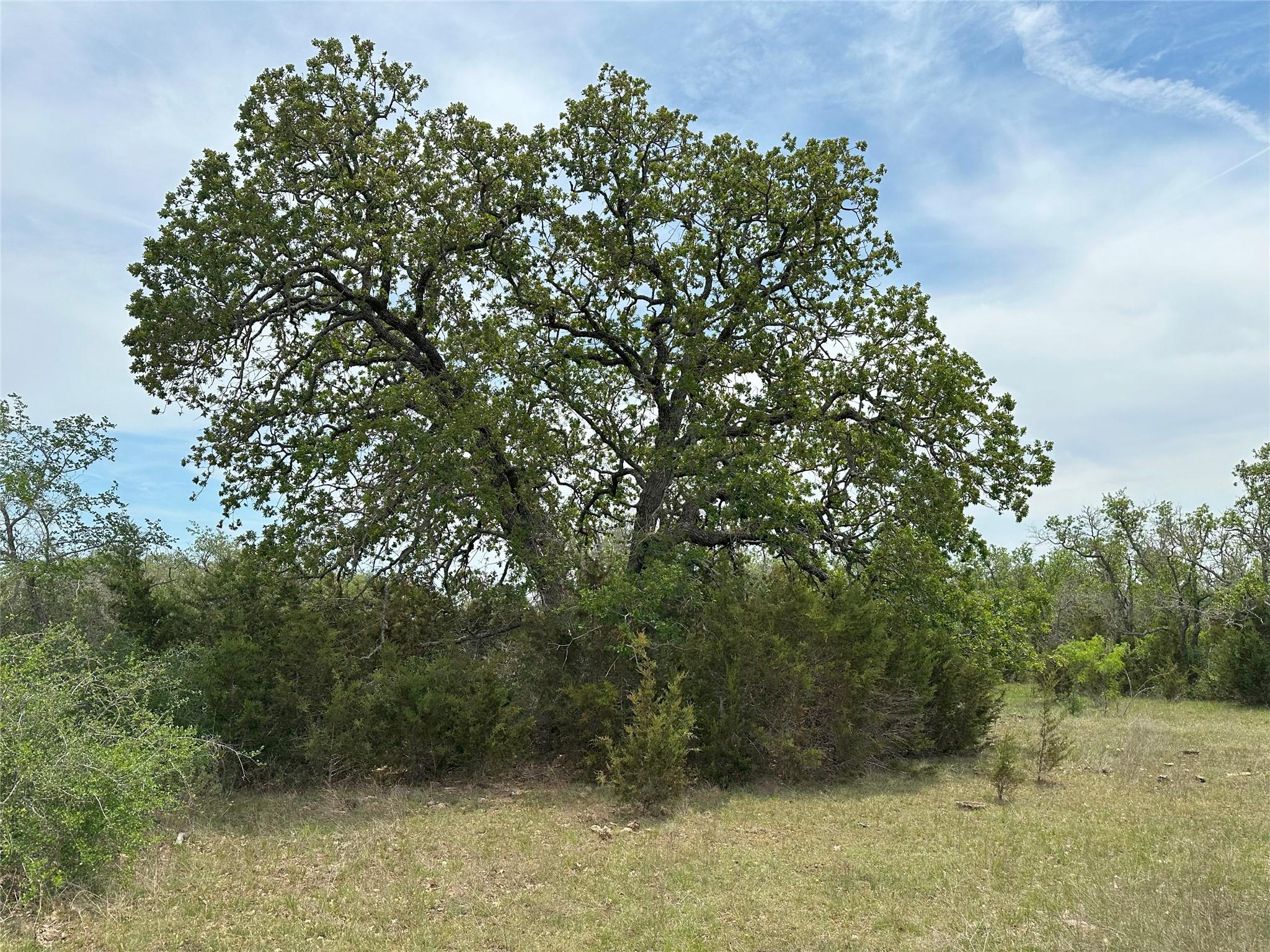 unk 114ac CR 330, Bertram, TX 78605