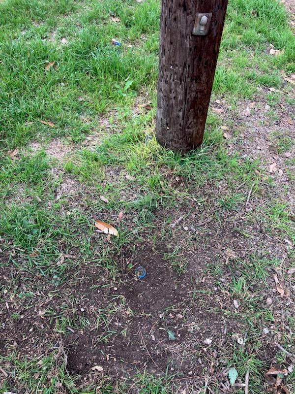 5606 1/2 Joe Sayers Ave, Austin, TX 78756