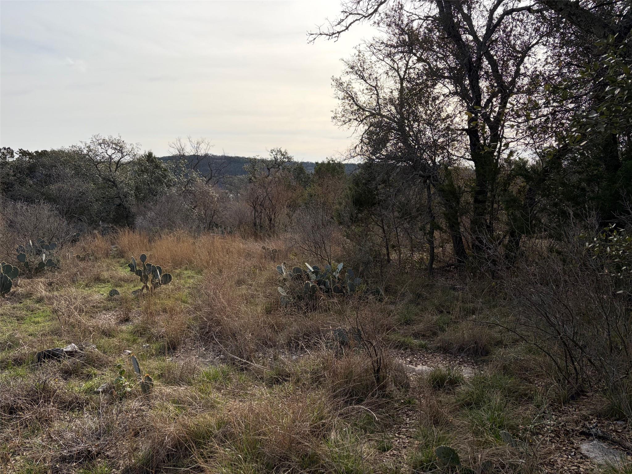 Lot 34 Lakeside Dr, Spicewood, TX 78669