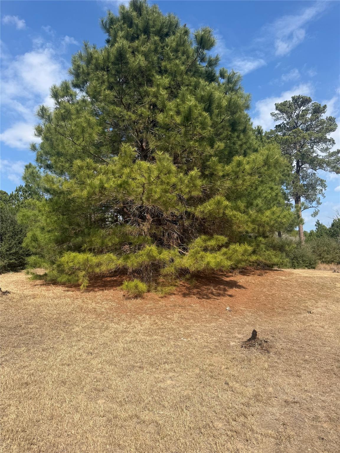 123 Koali Dr, Bastrop, TX 78602