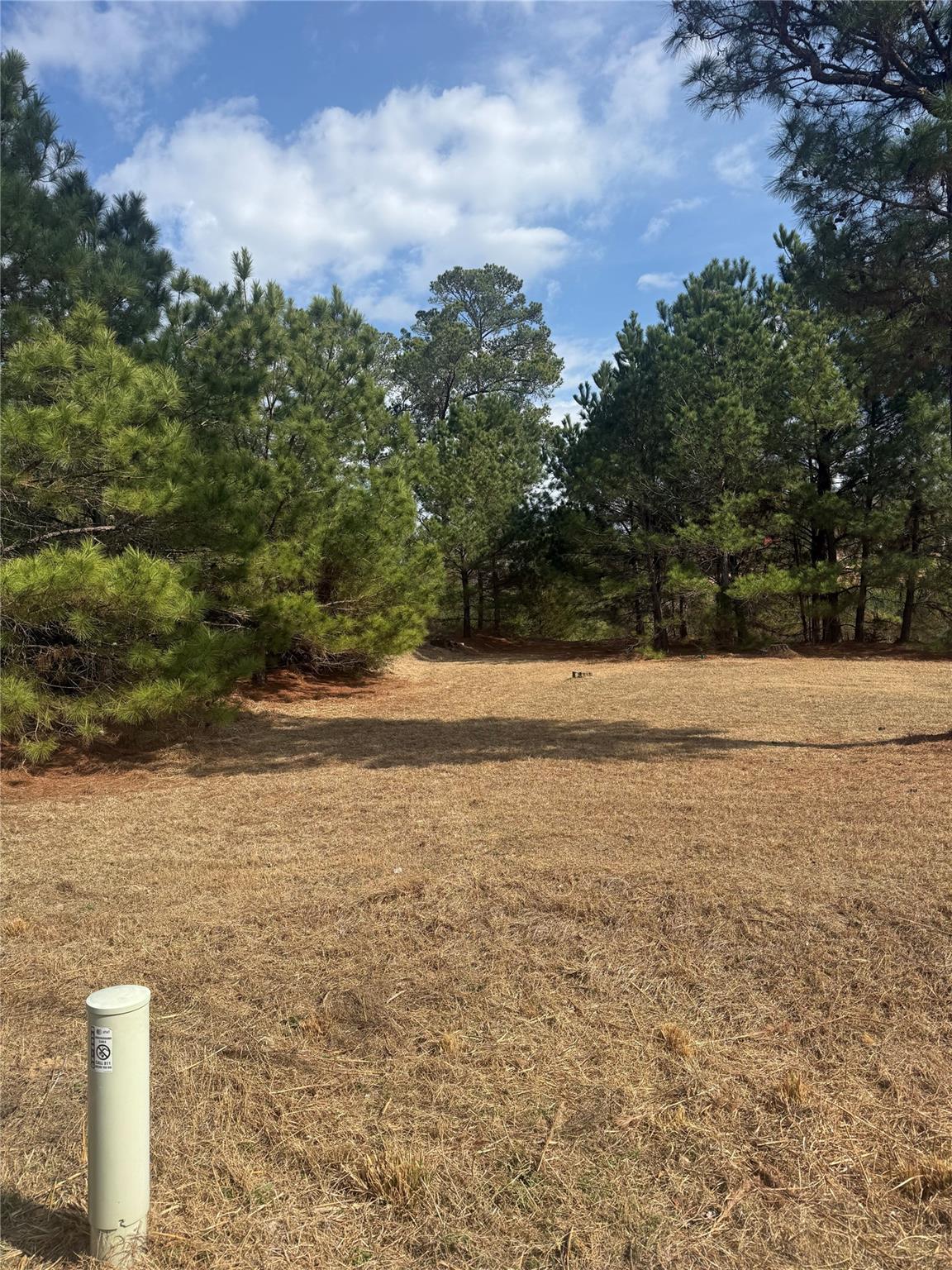 123 Koali Dr, Bastrop, TX 78602