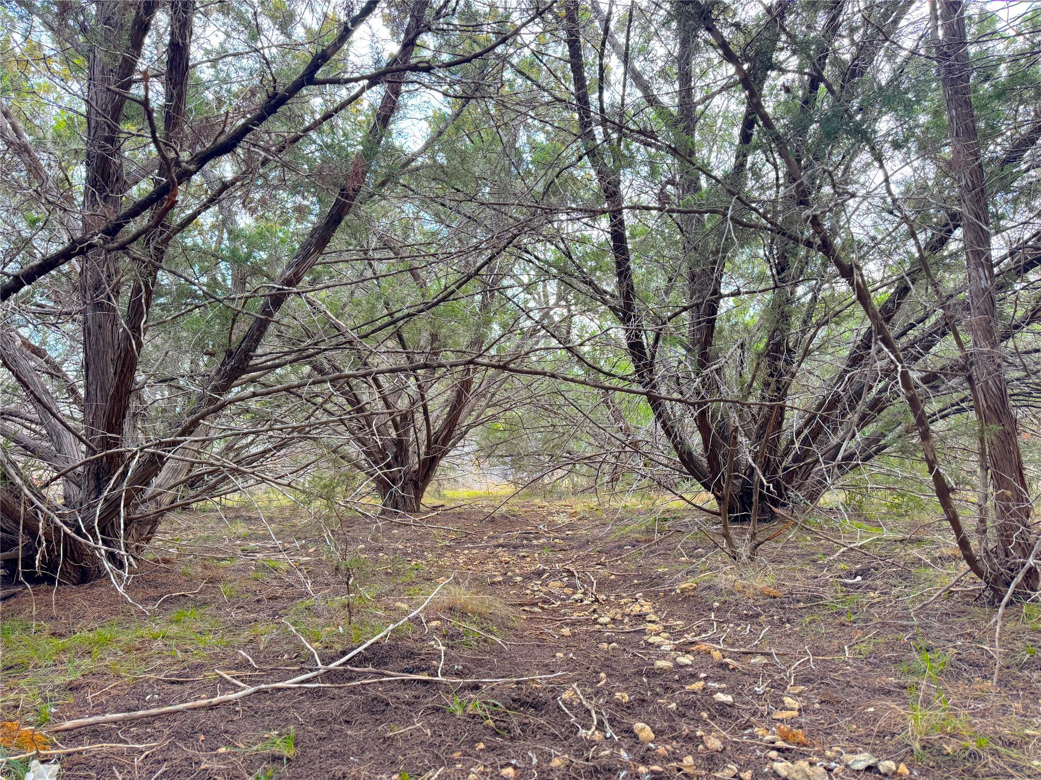 1645 Blueridge Dr, Canyon Lake, TX 78133