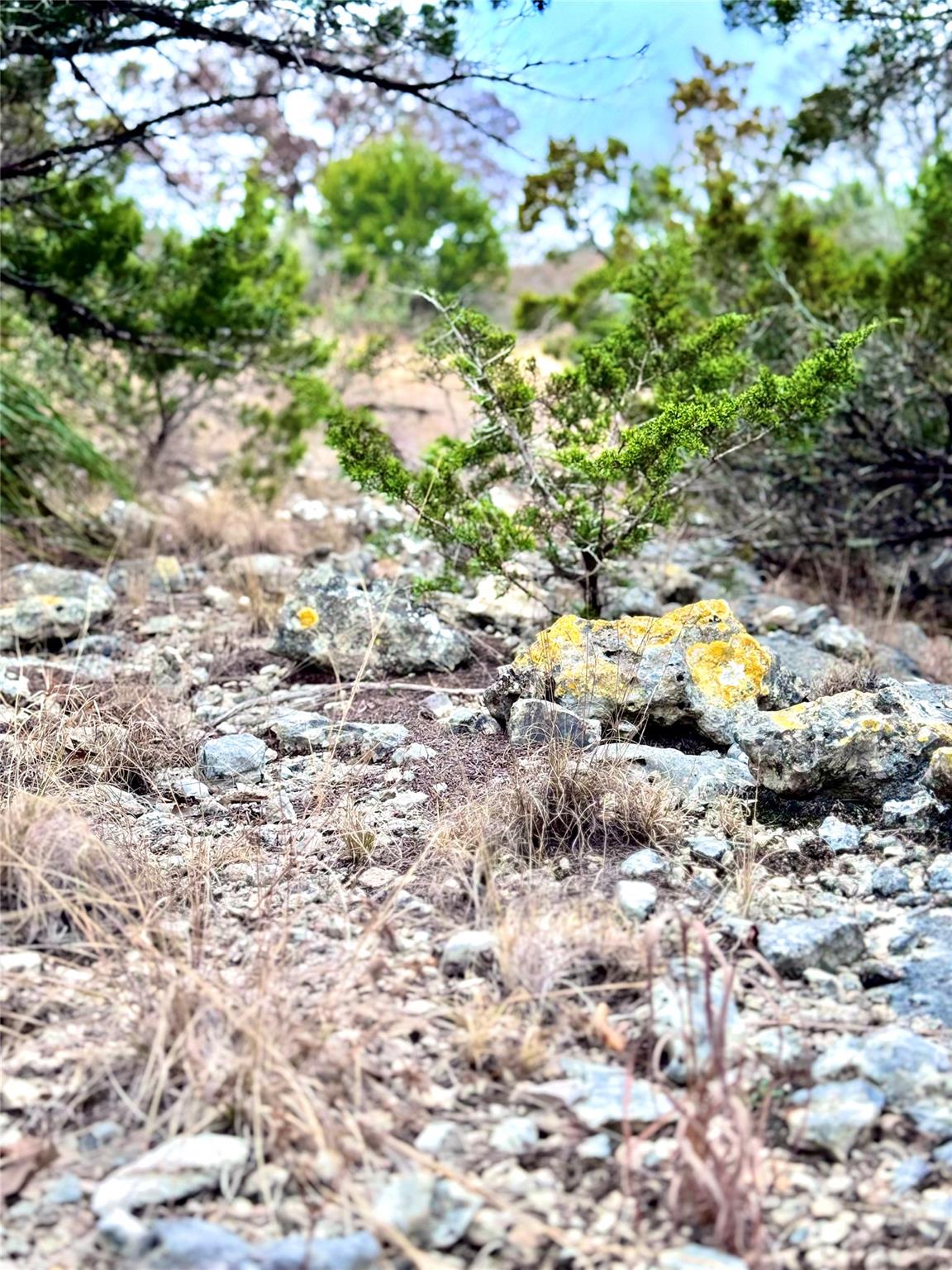 424 Armadillo Trail Dr E, Center Point, TX 78013