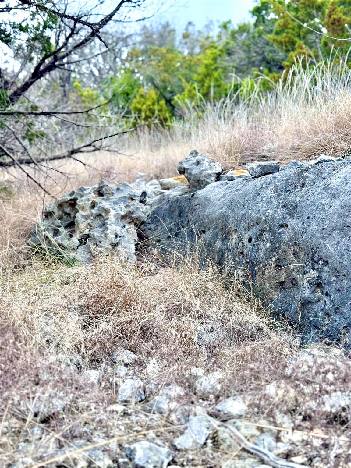 424 Armadillo Trail Dr E, Center Point, TX 78013