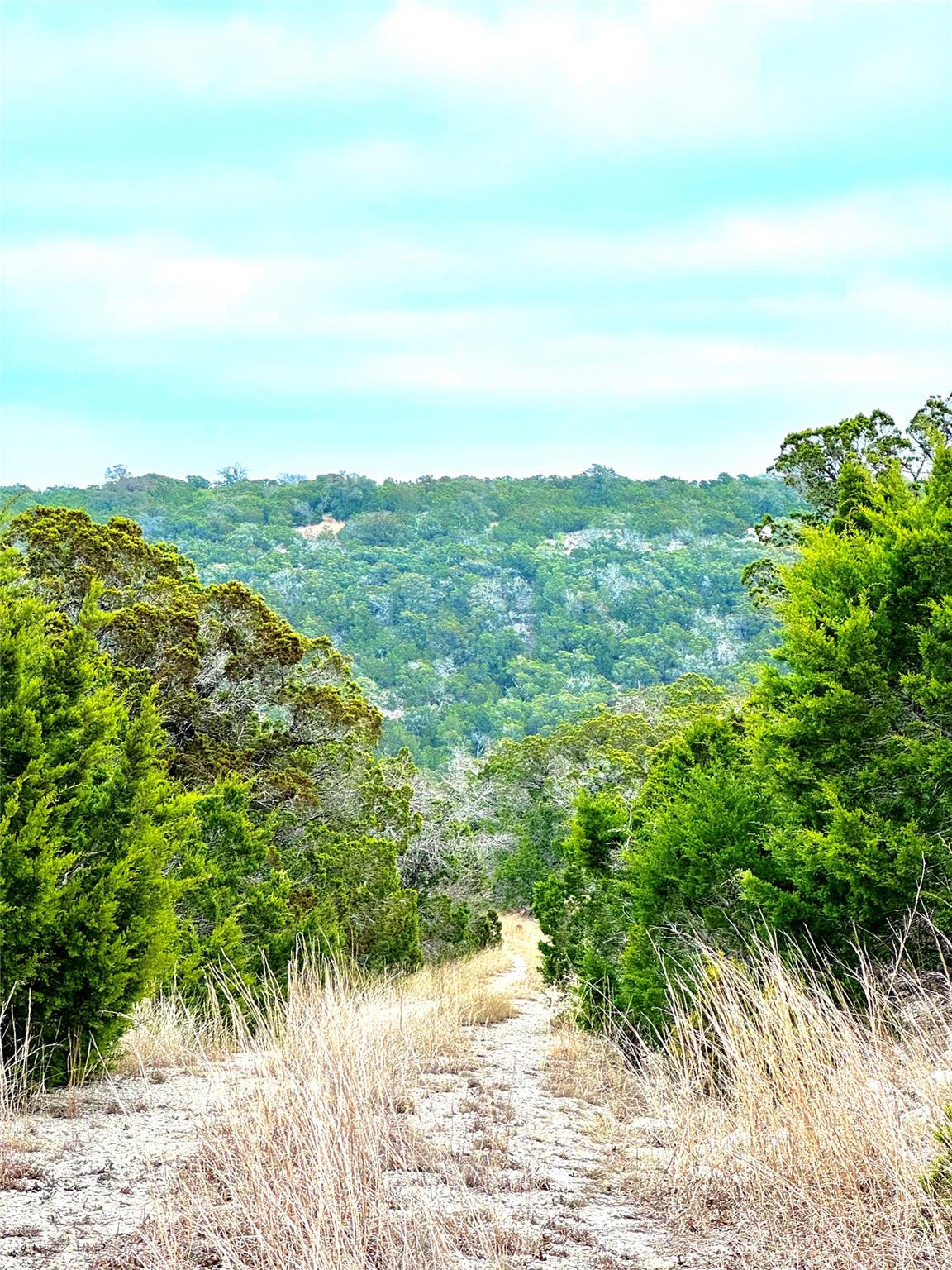 424 Armadillo Trail Dr E, Center Point, TX 78013