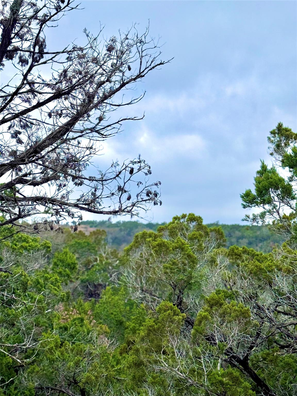 424 Armadillo Trail Dr E, Center Point, TX 78013