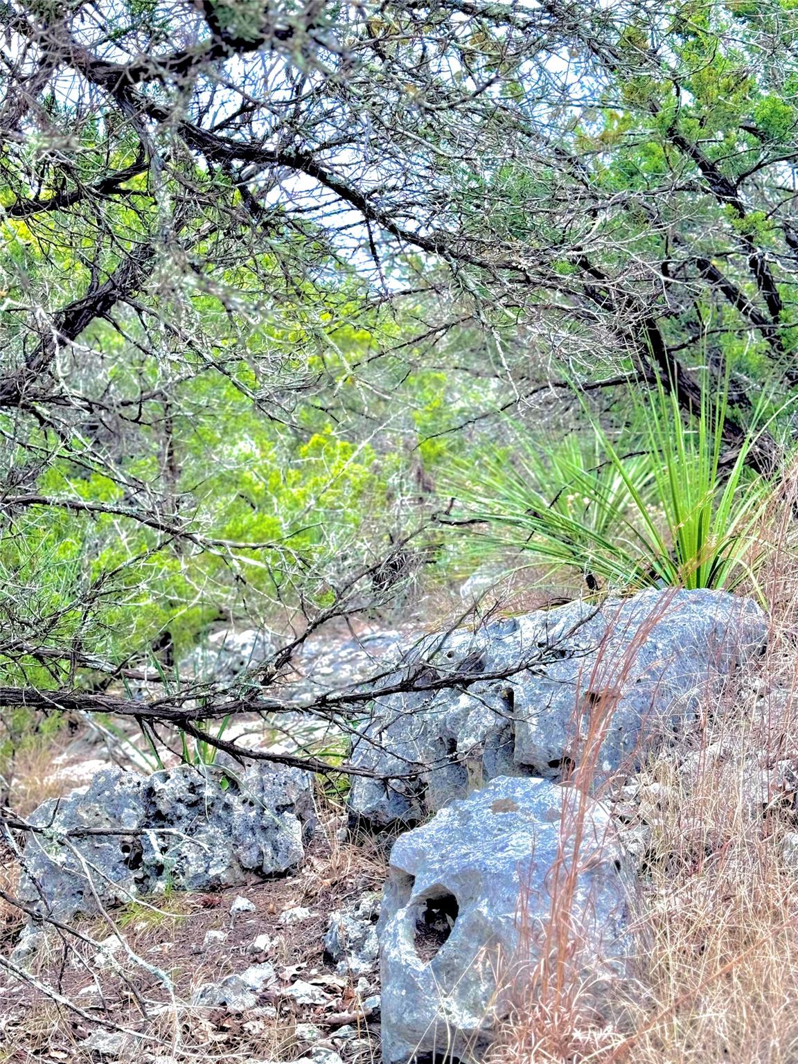 424 Armadillo Trail Dr E, Center Point, TX 78013