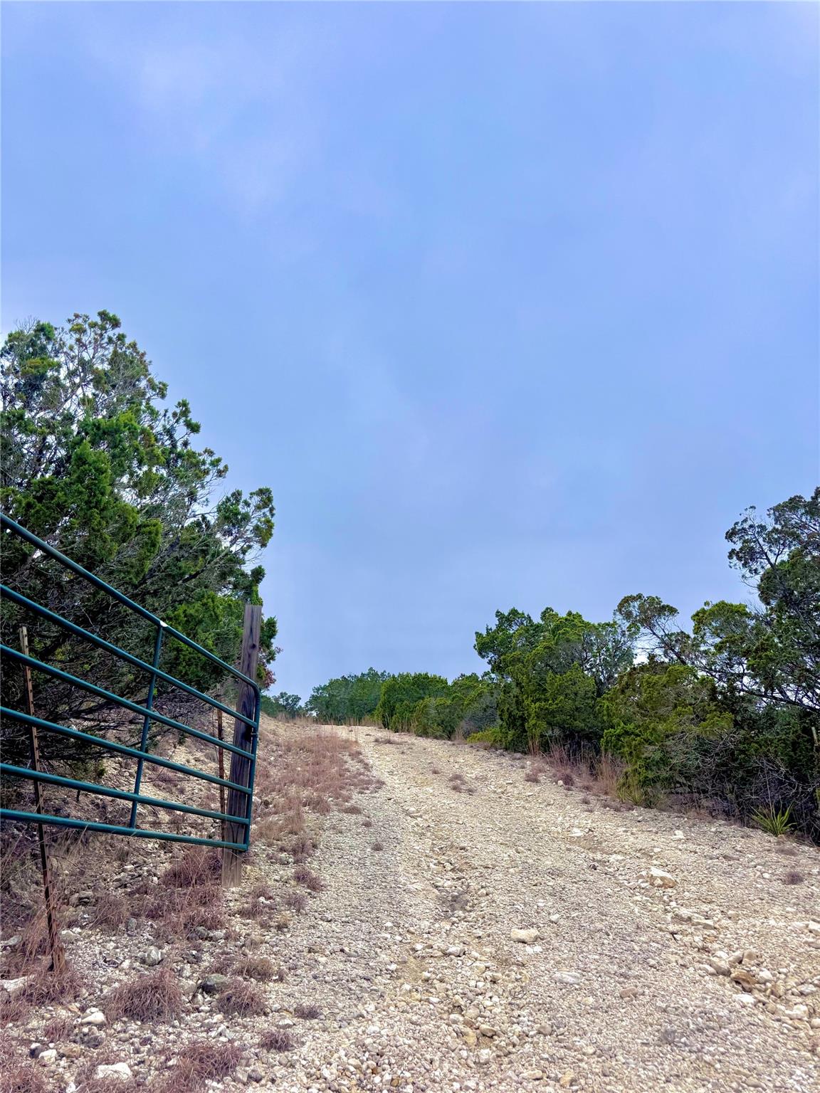 424 Armadillo Trail Dr E, Center Point, TX 78013