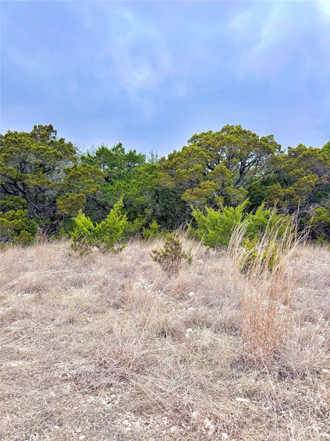 424 Armadillo Trail Dr E, Center Point, TX 78013