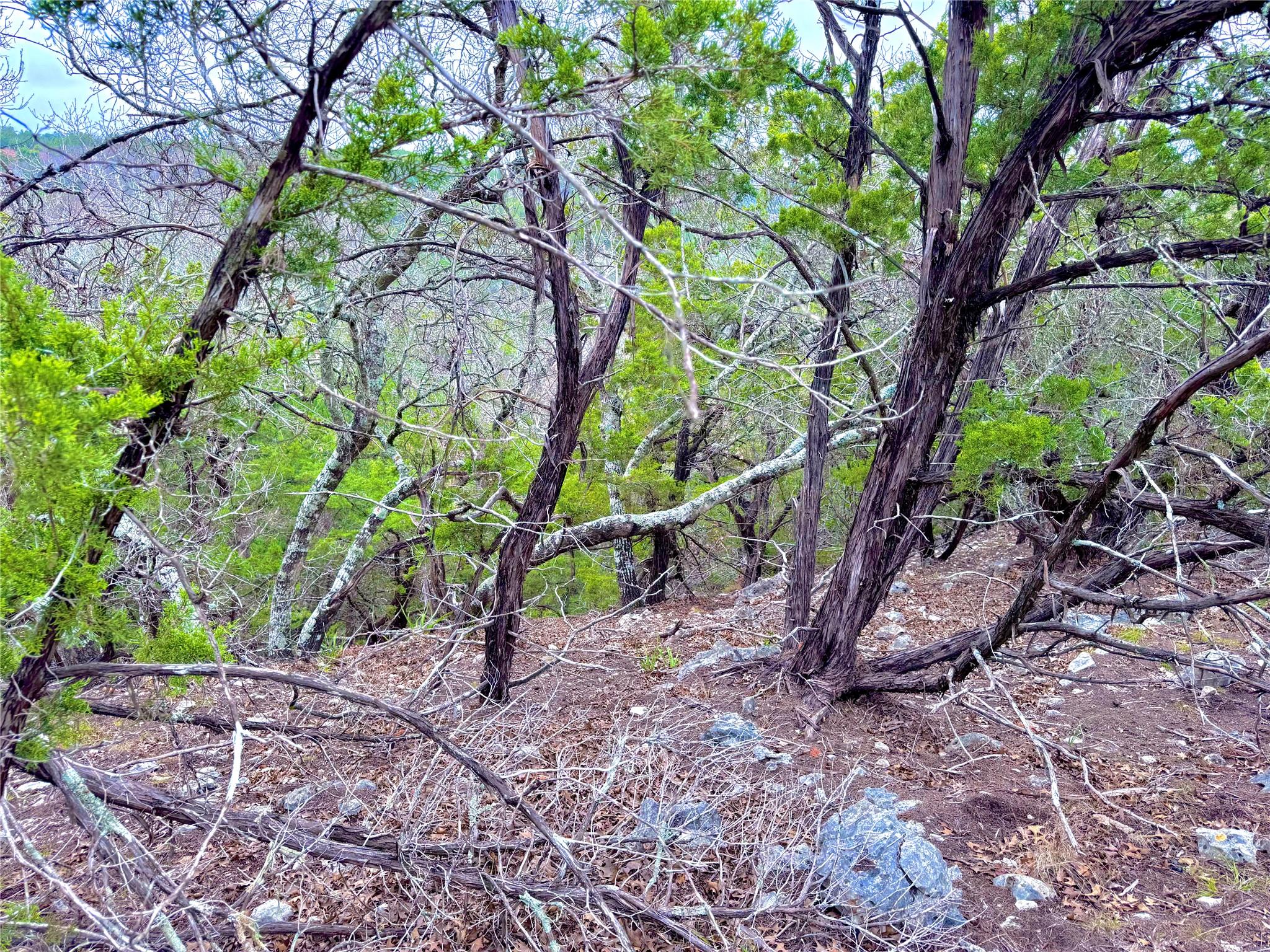 424 Armadillo Trail Dr E, Center Point, TX 78013