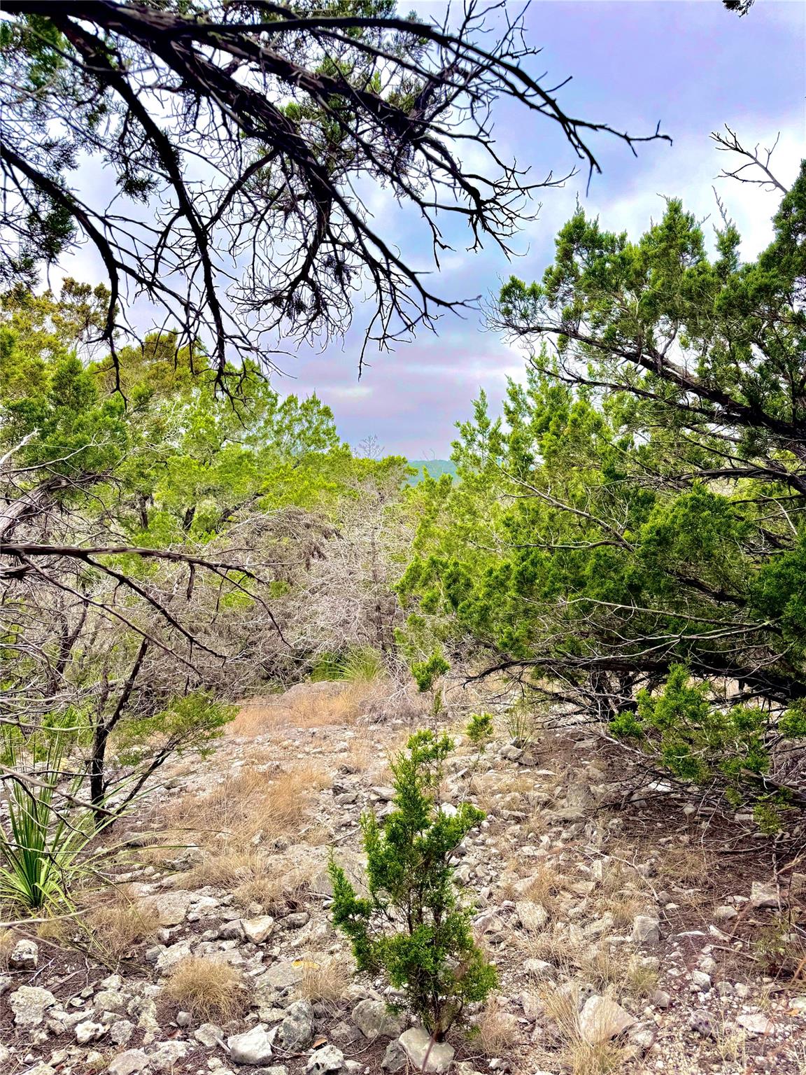 424 Armadillo Trail Dr E, Center Point, TX 78013