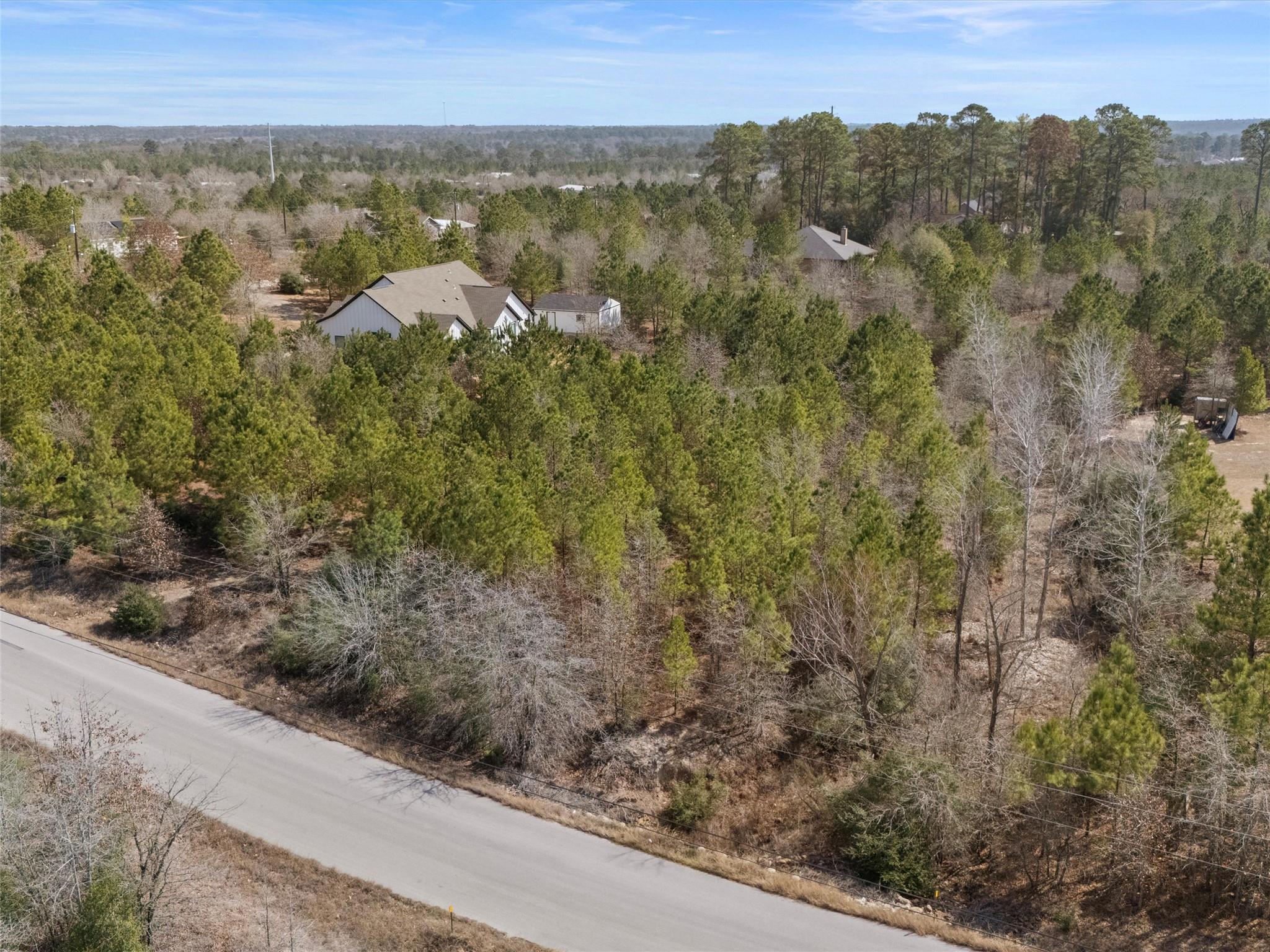 TBD Cardinal Dr, Paige, TX 78659