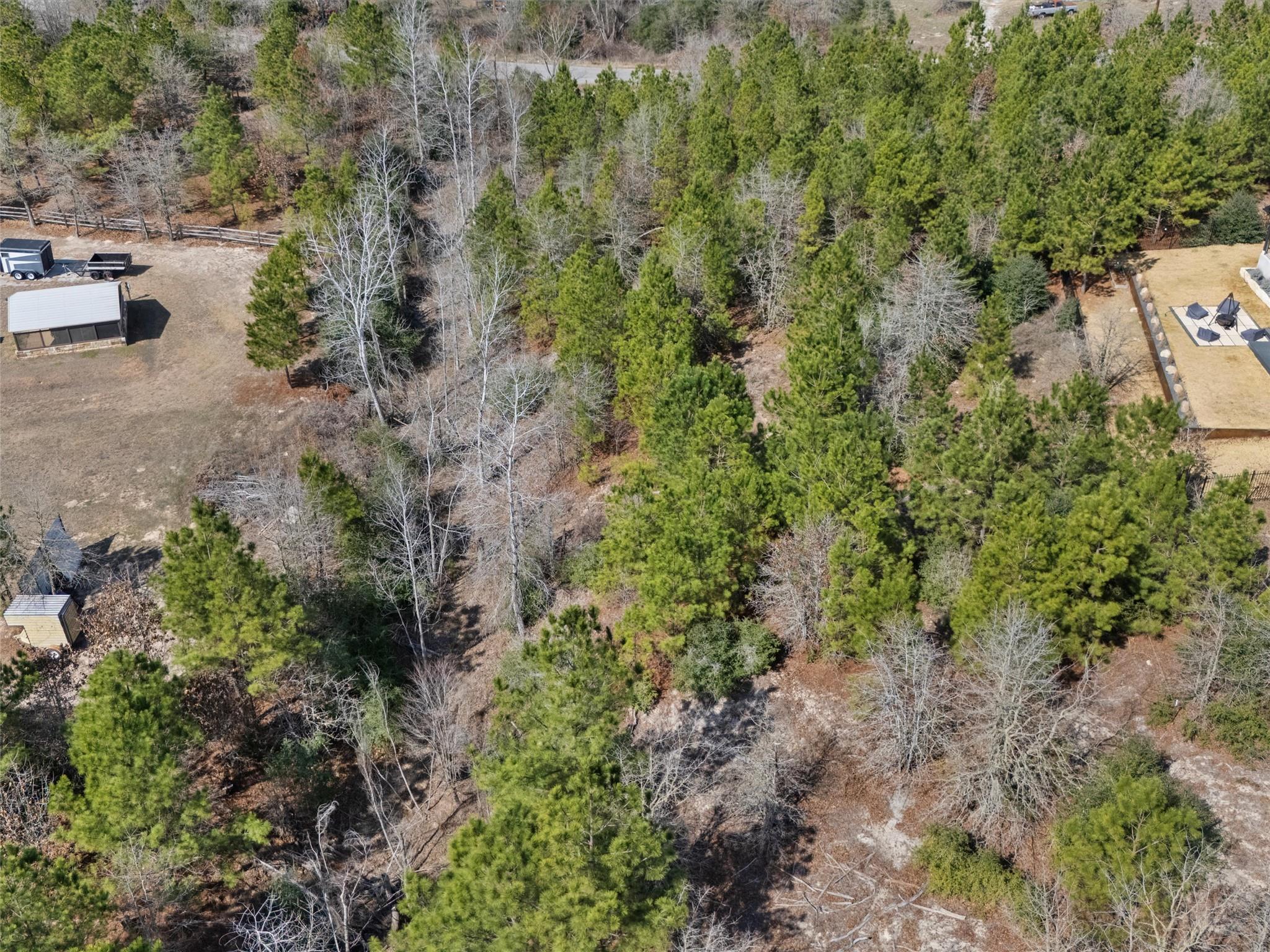 TBD Cardinal Dr, Paige, TX 78659