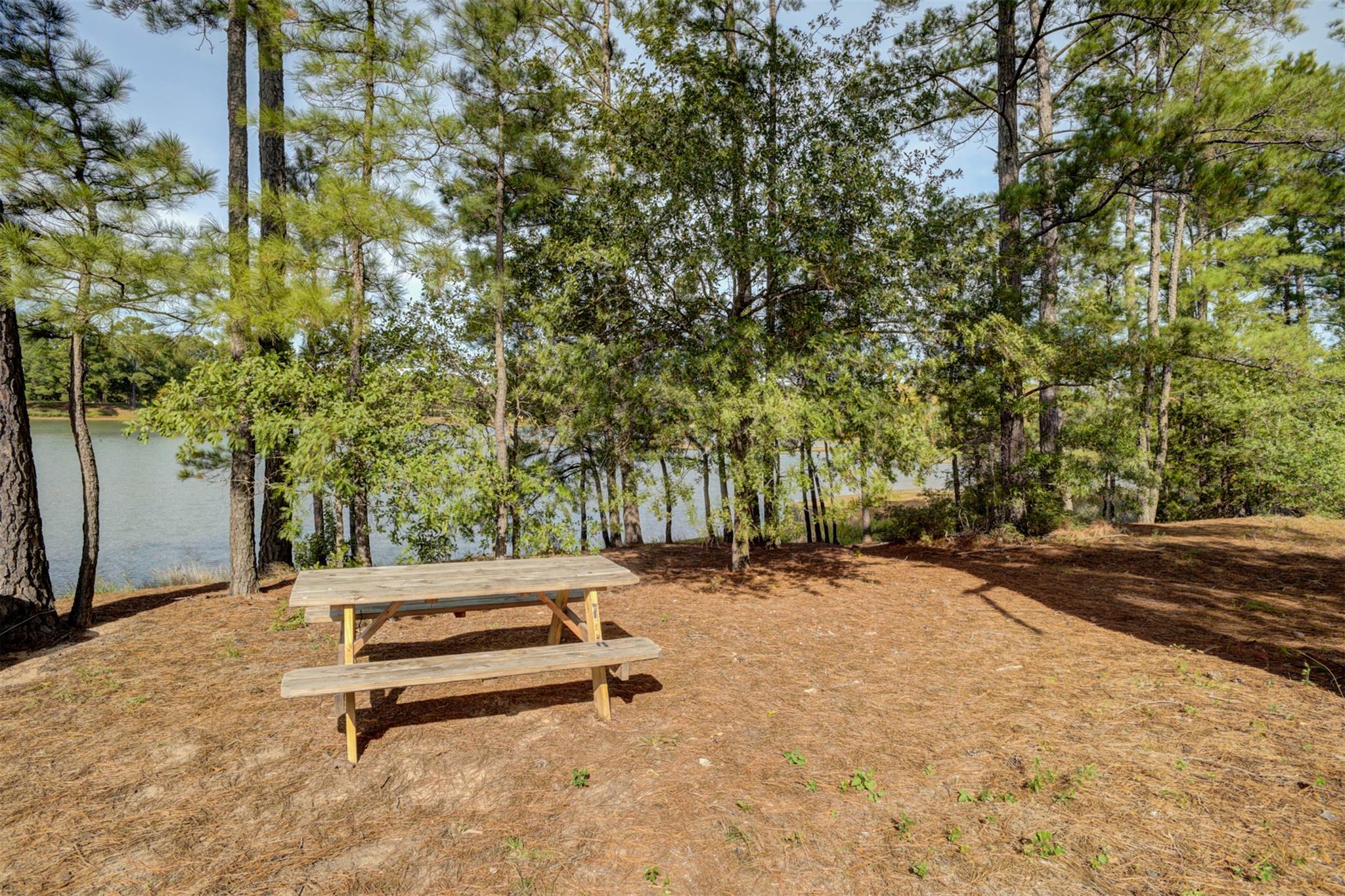 TBD Cardinal Dr, Paige, TX 78659