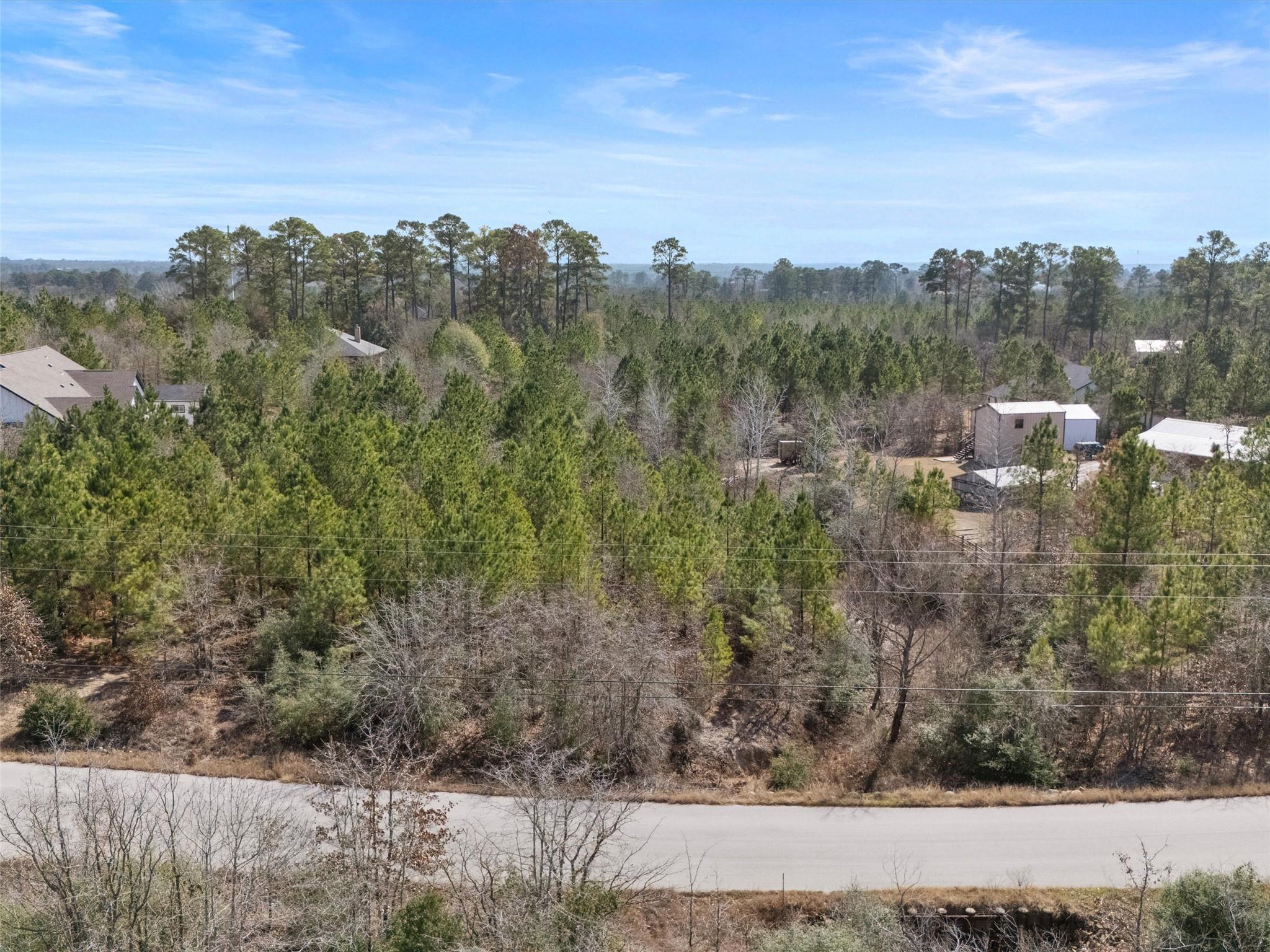 TBD Cardinal Dr, Paige, TX 78659