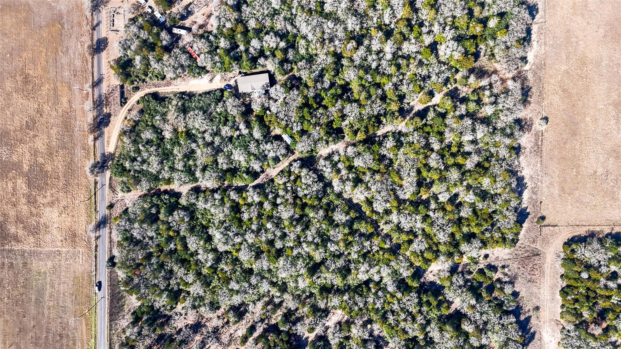 521 Paint Creek South Rd, Paige, TX 78659