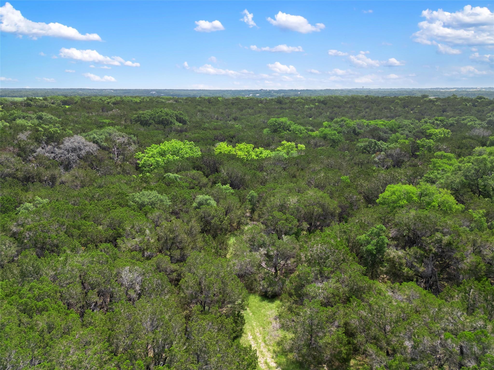 24300 Cisco Trl, Leander, TX 78641