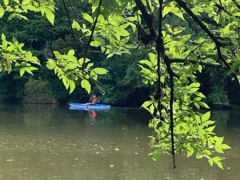 5607 Courtyard Dr, Austin, TX 78731