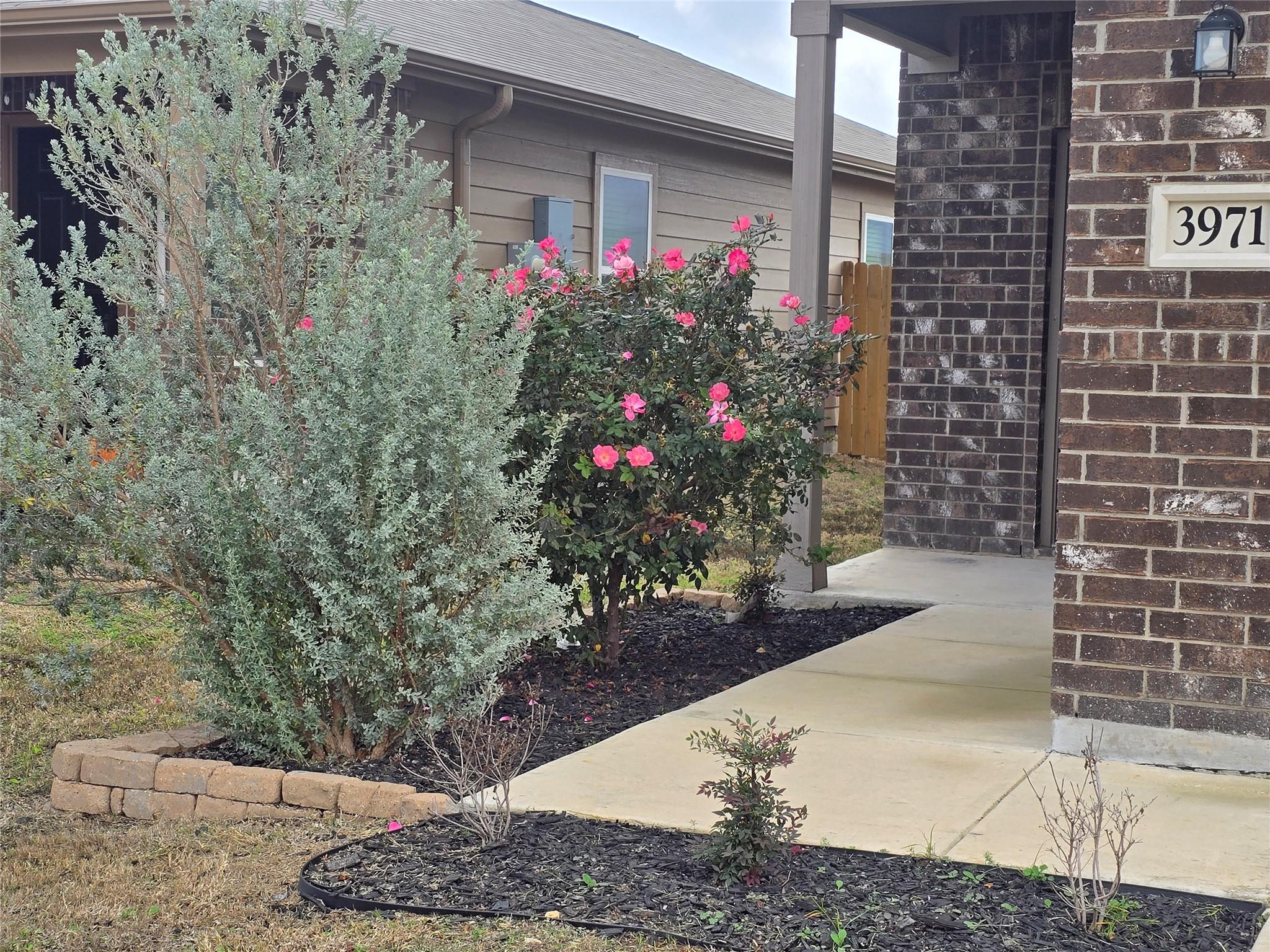 3971 Turtle Crk, New Braunfels, TX 78132