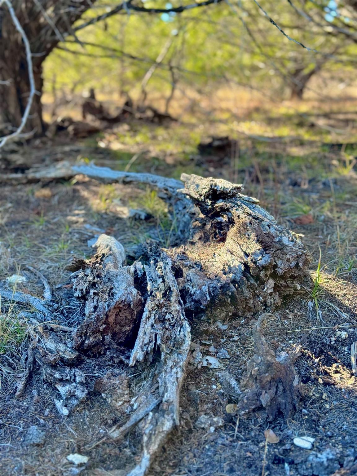 TBD tract 91 Citadel Dr, Center Point, TX 78010