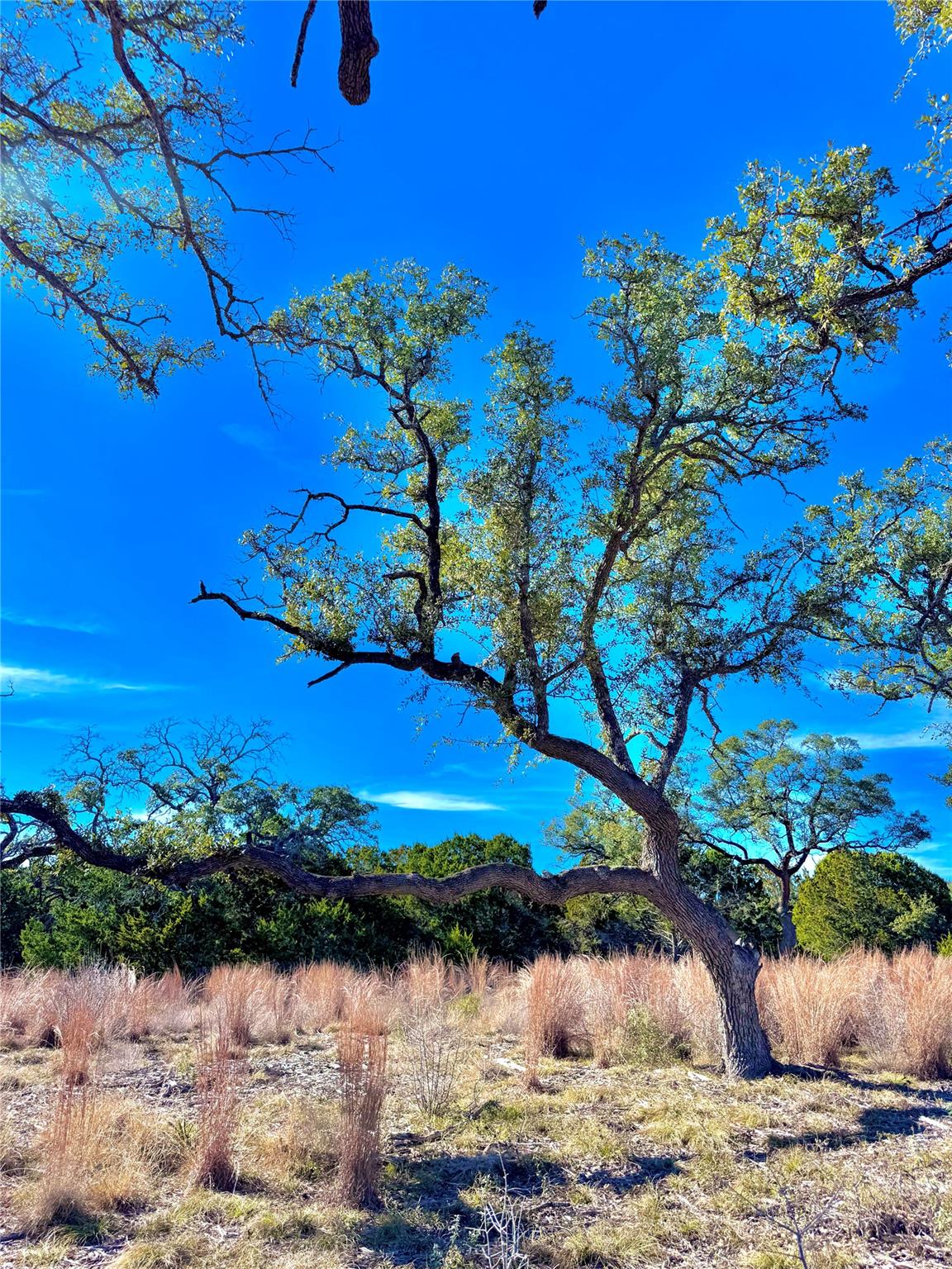 TBD tract 91 Citadel Dr, Center Point, TX 78010