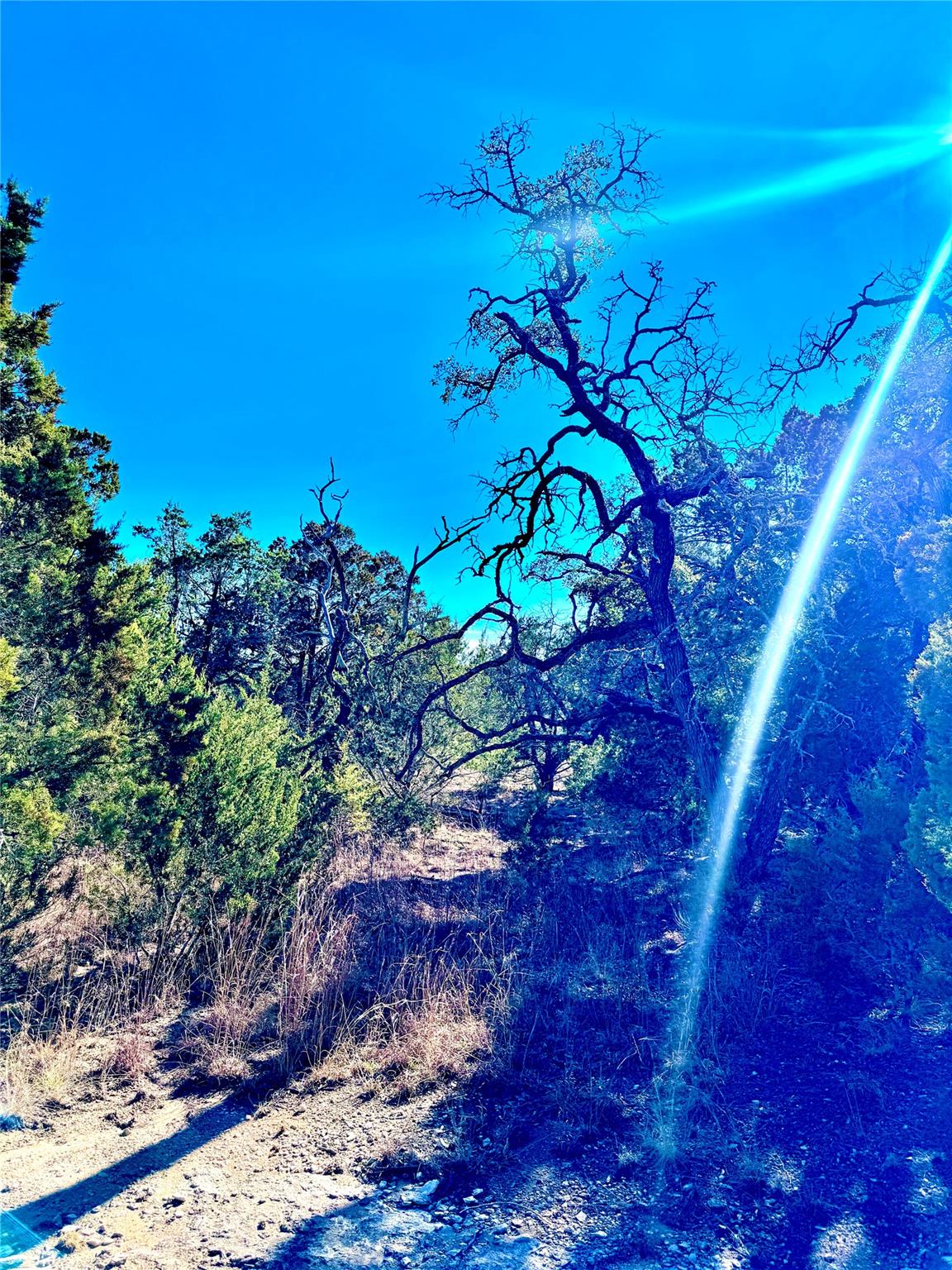 TBD tract 91 Citadel Dr, Center Point, TX 78010