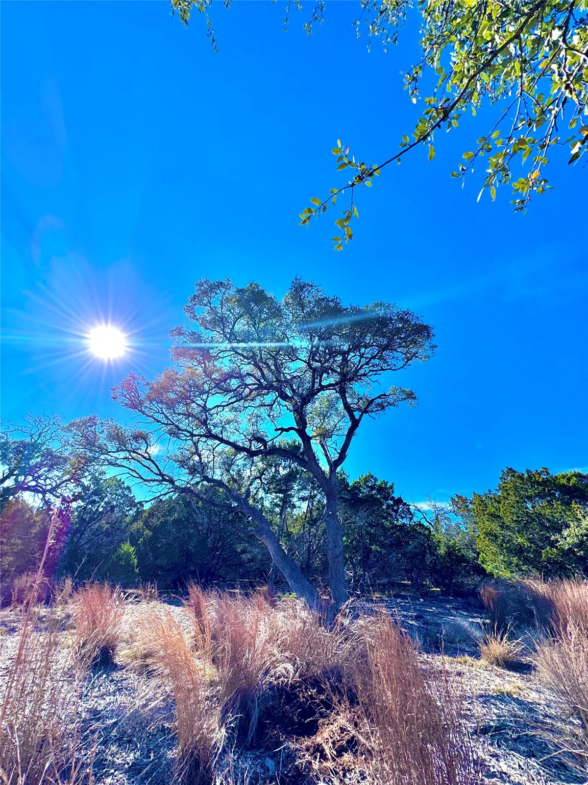 TBD tract 91 Citadel Dr, Center Point, TX 78010