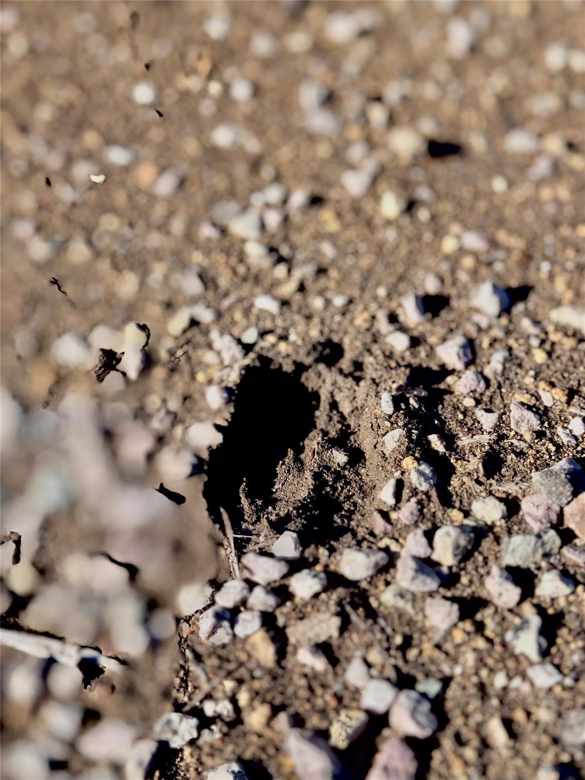 TBD tract 91 Citadel Dr, Center Point, TX 78010