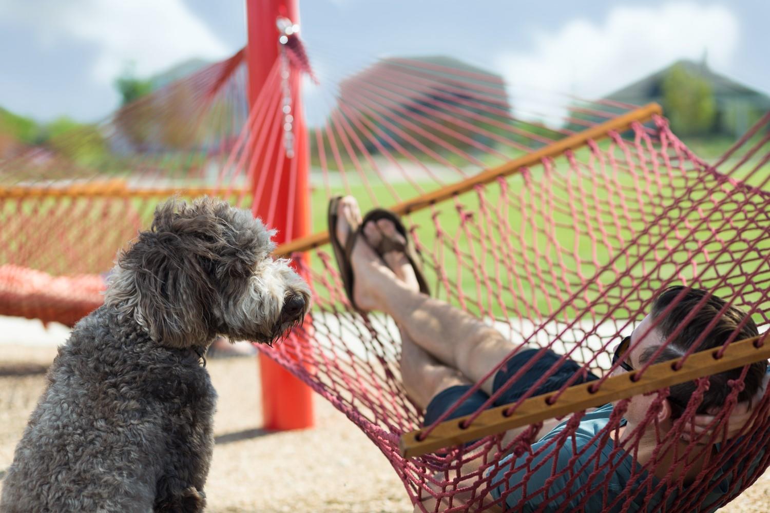 1016A Brickell Loop, Austin, TX 78744