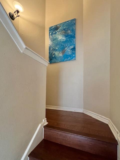 11706 Birchbark Trl, Austin, TX 78750