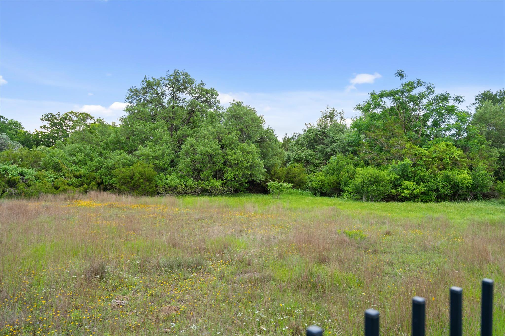 831 Sad Willow Pass, Driftwood, TX 78619