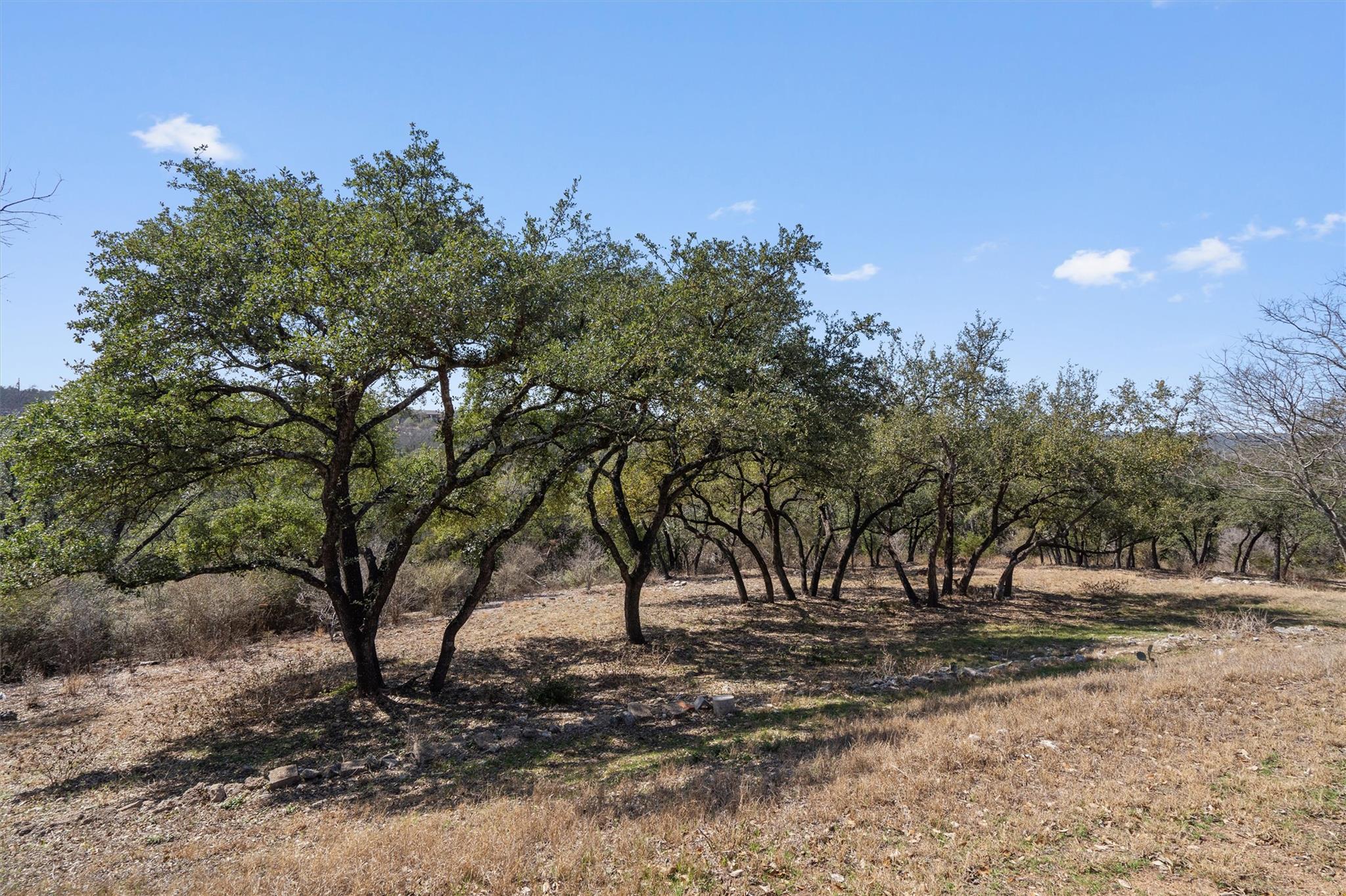 8432 Antero Dr, Austin, TX 78759