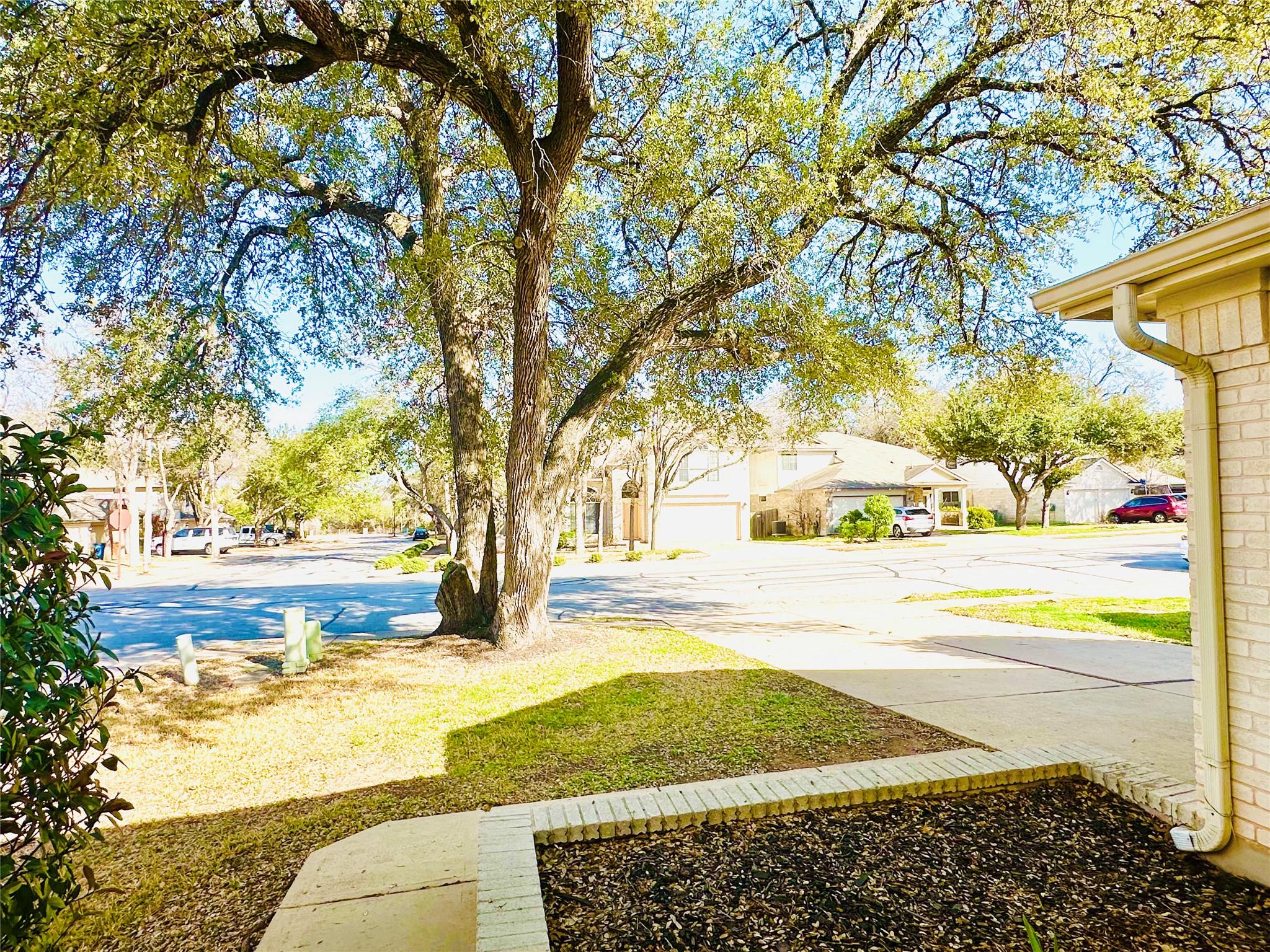 10524 S Canoa Hills Trl, Austin, TX 78717