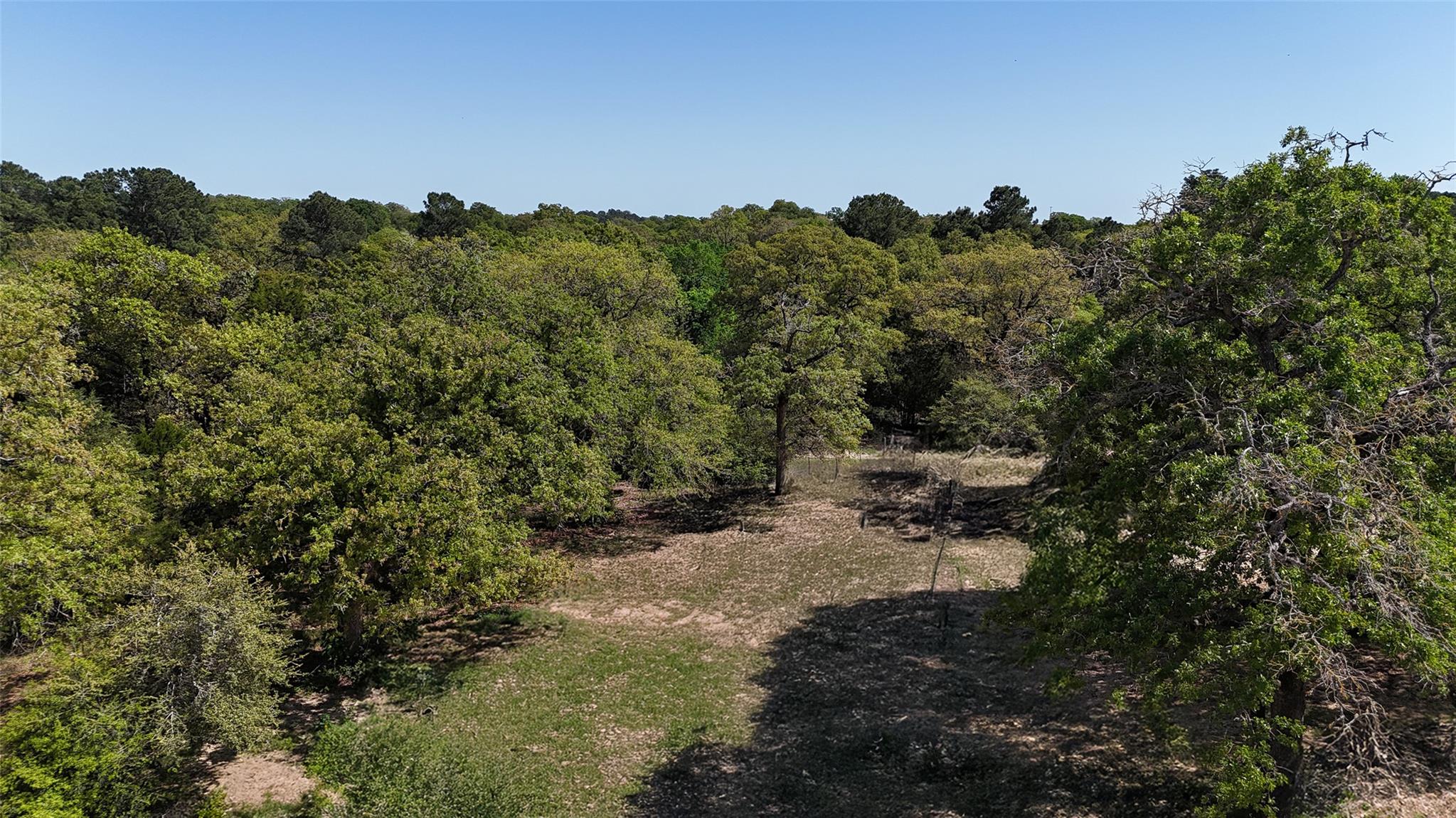 1035 Old Sayers Rd, Elgin, TX 78621