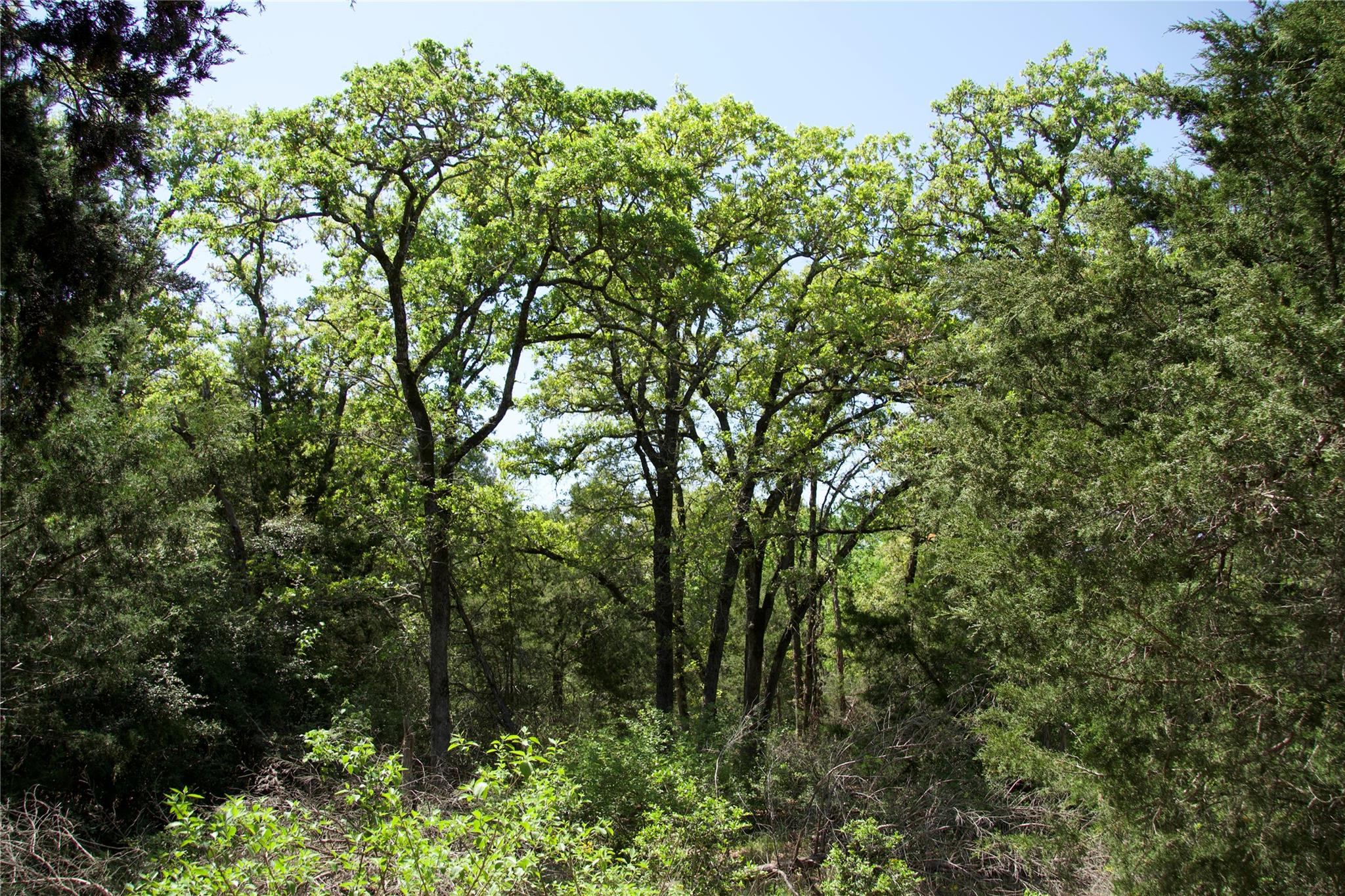 1035 Old Sayers Rd, Elgin, TX 78621