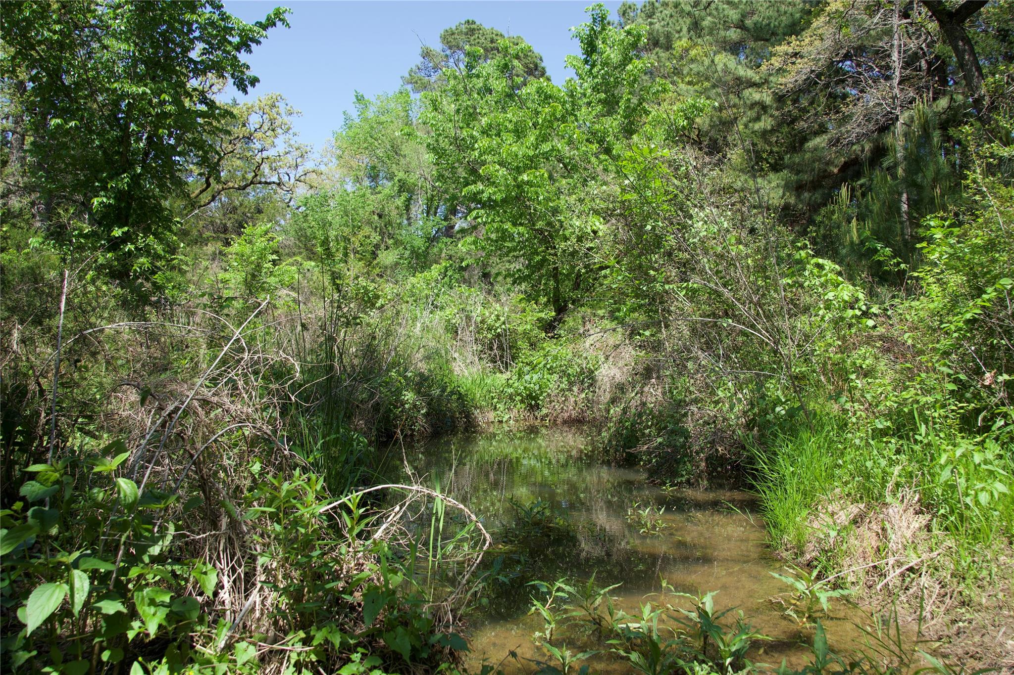 1035 Old Sayers Rd, Elgin, TX 78621