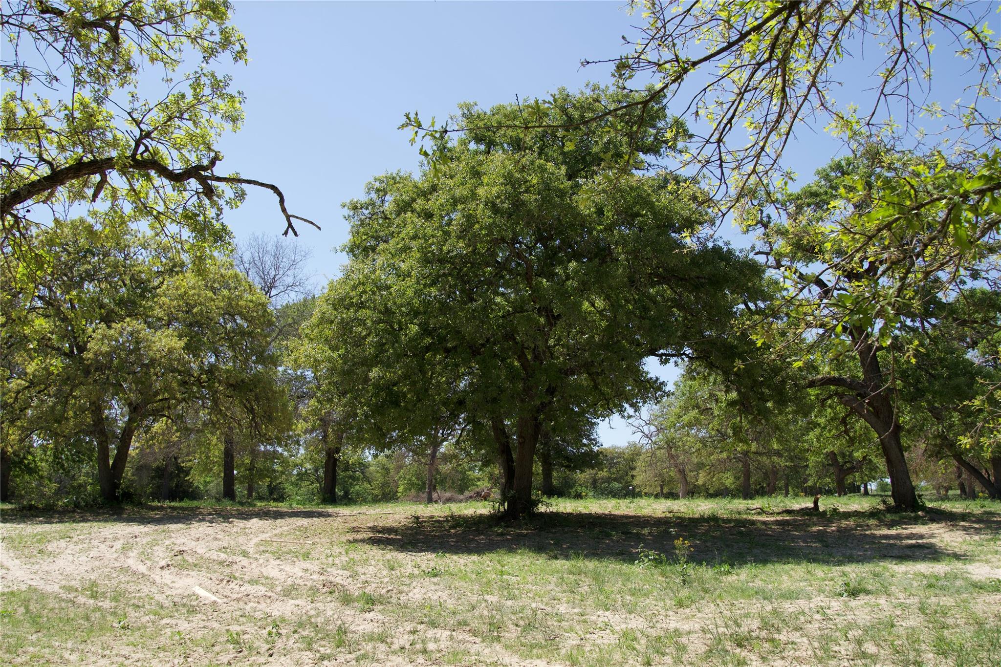 1035 Old Sayers Rd, Elgin, TX 78621