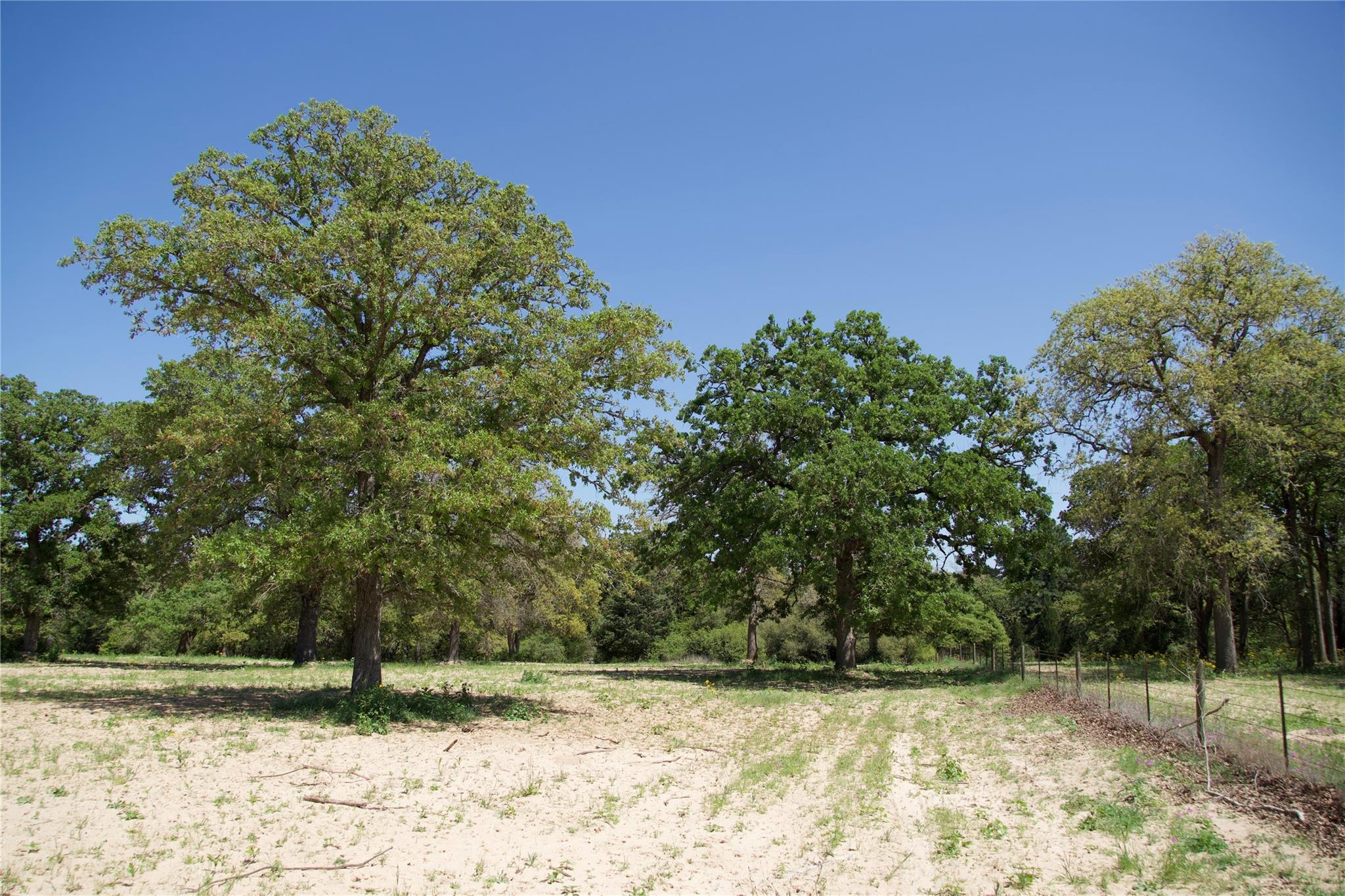 1035 Old Sayers Rd, Elgin, TX 78621