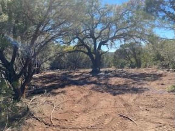 495 Buffalo Creek Drive (Lot 95) Dr, Evant, TX 76525