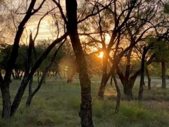 495 Buffalo Creek Drive (Lot 95) Dr, Evant, TX 76525