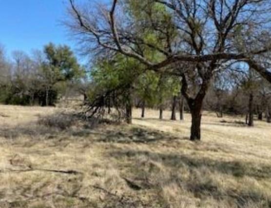 495 Buffalo Creek Drive (Lot 95) Dr, Evant, TX 76525